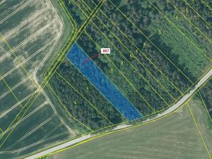 Dražba lesa, Netřebice, 3608 m2