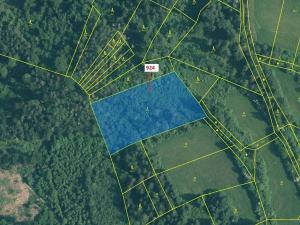 Dražba lesa, Rabí, 6042 m2