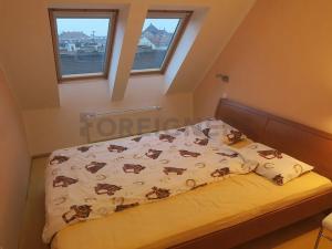 Pronájem pokoje, Brno, Gorkého, 12 m2