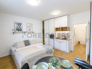 Pronájem bytu 1+kk, Brno, Cejl, 30 m2