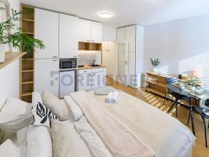 Pronájem bytu 1+kk, Brno, Cejl, 30 m2