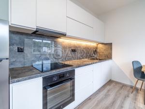 Pronájem bytu 1+kk, Kralupy nad Vltavou, S. K. Neumanna, 33 m2