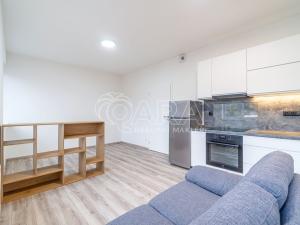 Pronájem bytu 1+kk, Kralupy nad Vltavou, S. K. Neumanna, 33 m2