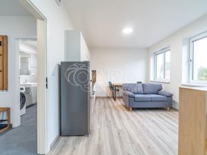 Pronájem bytu 1+kk, Kralupy nad Vltavou, S. K. Neumanna, 33 m2