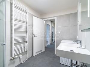 Pronájem bytu 1+kk, Kralupy nad Vltavou, S. K. Neumanna, 33 m2