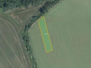 Prodej pole, Majetín, 11657 m2