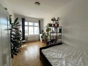 Pronájem bytu 2+kk, Praha - Vršovice, Slovinská, 50 m2