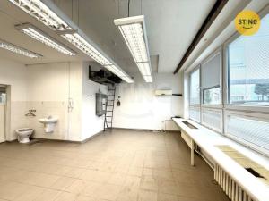 Pronájem skladu, Ostrava - Zábřeh, 480 m2