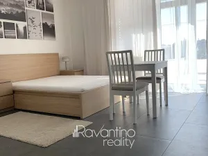 Pronájem bytu 1+kk, Brno, Vzhledná, 25 m2