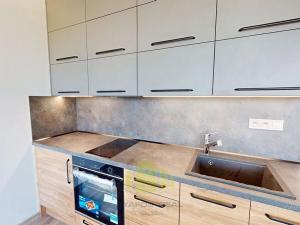 Pronájem bytu 1+kk, Olomouc, Camilla Sitteho, 34 m2