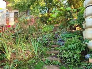 Prodej chaty, Těšovice, 35 m2