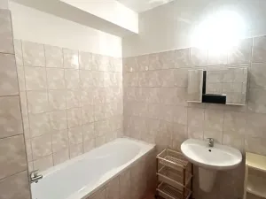 Pronájem bytu 1+kk, Olomouc, Družební, 30 m2