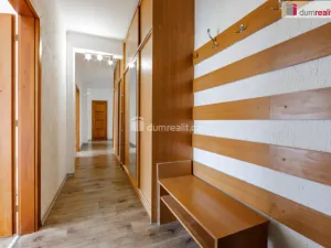 Pronájem bytu 2+1, Ostrov, S. K. Neumanna, 65 m2