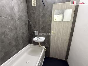 Pronájem bytu 1+1, Jílové - Martiněves, E. Krásnohorské, 36 m2