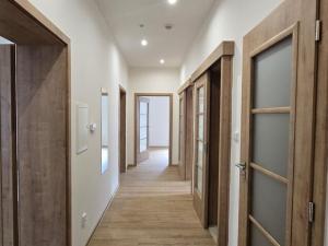 Pronájem bytu 3+1, Ústí nad Labem, Všebořická, 97 m2