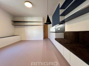 Pronájem bytu 1+kk, Brno, Peroutková, 25 m2