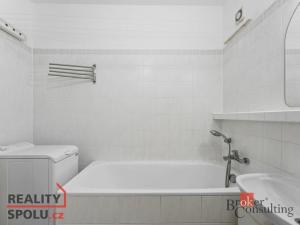 Prodej bytu 1+1, Mladá Boleslav - Mladá Boleslav II, 17. listopadu, 36 m2