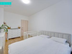 Pronájem bytu 2+kk, Olomouc, Eduarda Hamburgera, 62 m2