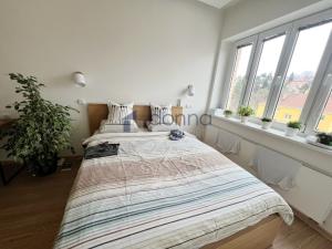 Pronájem bytu 2+kk, Praha - Podolí, Jeremenkova, 47 m2