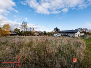 Prodej pozemku pro bydlení, Střížovice, 1041 m2