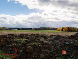 Prodej pozemku pro bydlení, Střížovice, 1041 m2