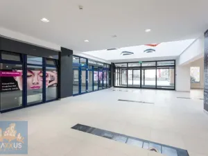 Pronájem obchodního prostoru, Praha - Stodůlky, Prusíkova, 102 m2