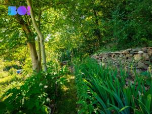 Prodej chalupy, Kájov - Staré Dobrkovice, 120 m2