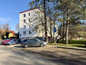 Prodej bytu 3+1, Planá, Fučíkova, 63 m2