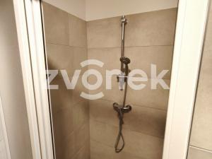 Pronájem bytu 2+kk, Holešov, Palackého, 55 m2