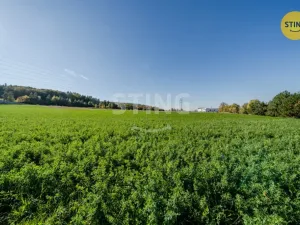 Prodej pozemku pro bydlení, Mokré Lazce, 4000 m2