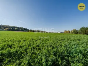Prodej pozemku pro bydlení, Mokré Lazce, 4000 m2