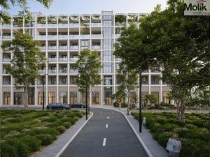 Prodej bytu 2+kk, Golem, 100 m2