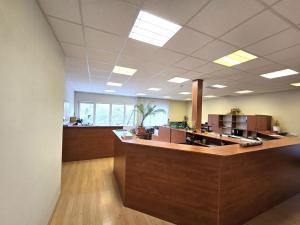 Pronájem výrobních prostor, Brno, Franzova, 785 m2