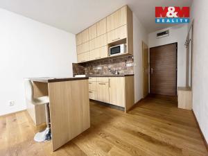 Pronájem bytu 1+kk, Strakonice - Přední Ptákovice, Šumavská, 26 m2