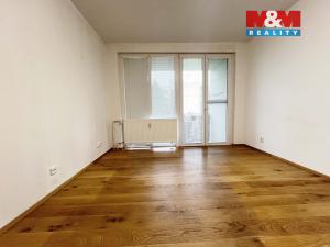 Pronájem bytu 1+kk, Strakonice - Přední Ptákovice, Šumavská, 26 m2