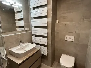 Pronájem bytu 1+kk, Písek, Pražská, 32 m2