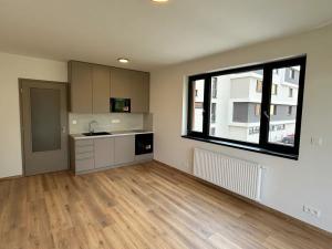 Pronájem bytu 1+kk, Písek, Pražská, 32 m2