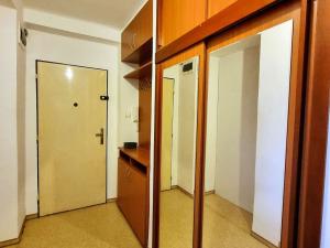 Pronájem bytu 2+1, Plzeň, Brožíkova, 52 m2