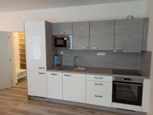 Pronájem bytu 1+kk, České Budějovice 2, O. Nedbala, 42 m2