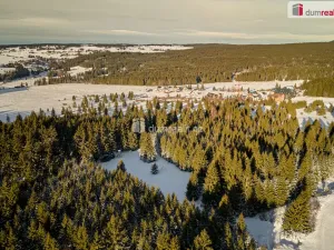 Prodej pozemku pro bydlení, Abertamy, Plešivecká, 836 m2