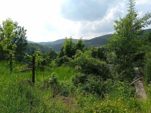 Prodej pozemku pro bydlení, Desná, Hutní, 2111 m2