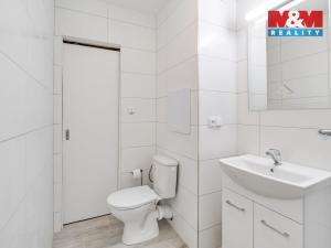 Pronájem bytu 2+1, Ústí nad Labem - Neštěmice, Mlýnská, 62 m2