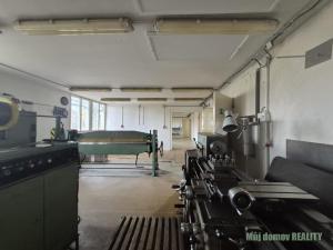 Pronájem výrobních prostor, Světice, V Zahradách, 250 m2