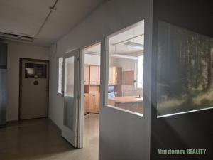 Pronájem výrobních prostor, Světice, V Zahradách, 250 m2