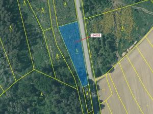 Dražba lesa, Budíškovice, 1817 m2