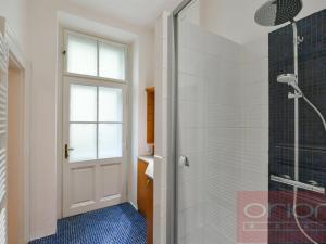 Pronájem bytu 3+kk, Praha - Vinohrady, Mánesova, 118 m2