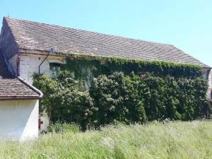 Dražba rodinného domu, Horšovský Týn, 316 m2