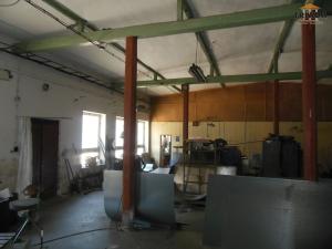 Prodej výrobních prostor, Stružinec, 10029 m2
