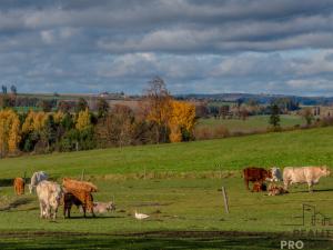 Prodej rodinného domu, Luka nad Jihlavou - Svatoslav, 200 m2