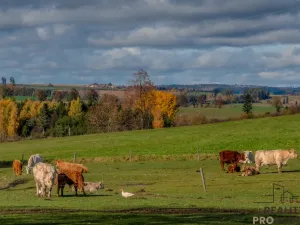 Prodej rodinného domu, Luka nad Jihlavou - Svatoslav, 200 m2
